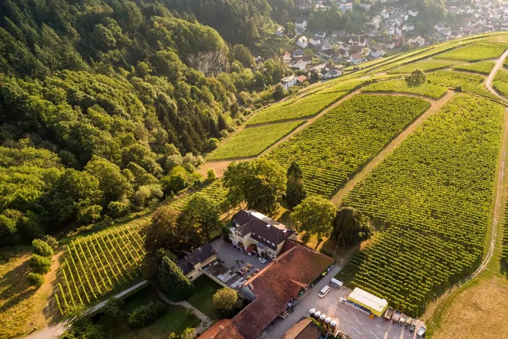 Luftaufnahme des Weinguts Nägelsförst inmitten der Weinberge im Rebland bei Baden-Baden