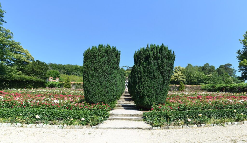 Rosengarten im Park des Schlosshotels Kronberg, Kulisse für freie Trauung und Paarshooting
